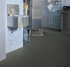 Forbo SafeStep R11 174282 dragon фото 2 | FLOORDEALER